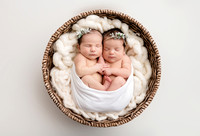 Jaime newborn twins ✔