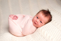 Savannah newborn