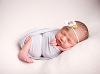 Charlotte newborn