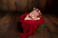 Charlotte Rose newborn