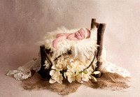 Ronnie Anne newborn ✔