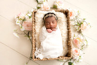 Eloise newborn ✔
