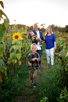Reading family- Sunflower field