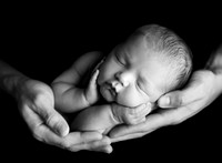 Everly newborn-✔