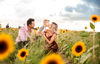 Rader family Sunflower ✔